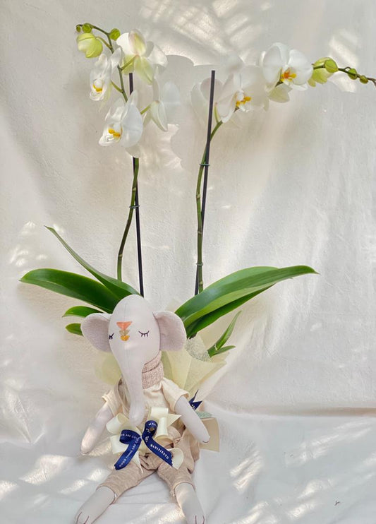 Orquídea con muñeco artesanal