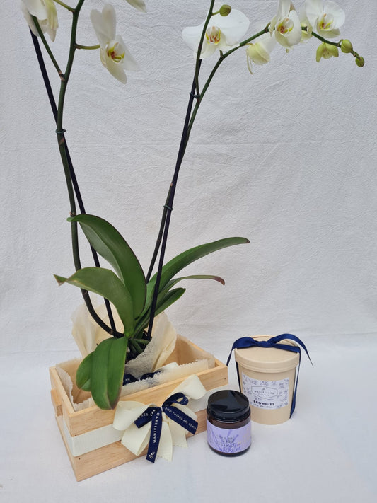 Orquídea con velas y brownies