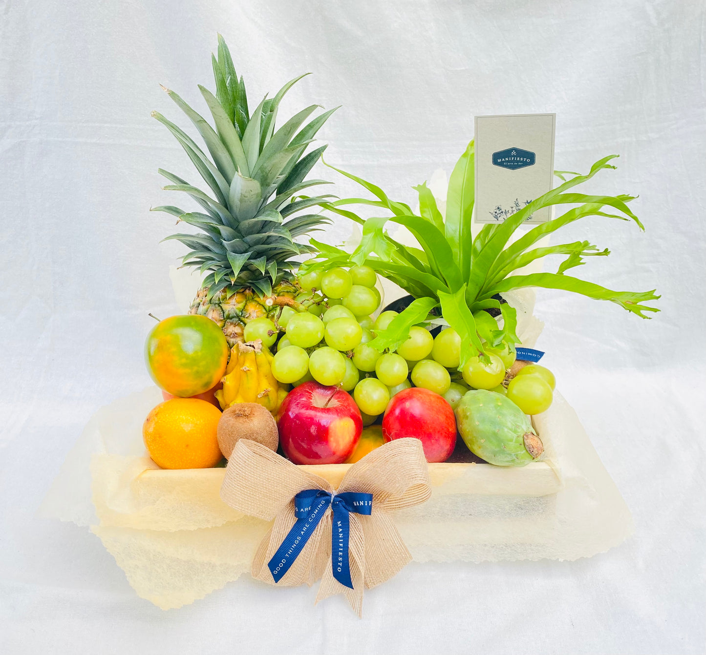 Frutas con planta